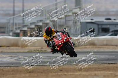 media/Mar-02-2025-Race Pace (Sun) [[8bec80ae00]]/12-Vested (Turn 2) 1111am/